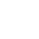 white v logo